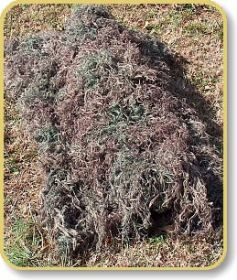 Ghillie Blanket cover 4' x 6'| Color (Option: Desert)